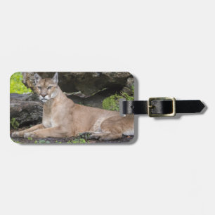 Florida Panther Luggage Tag