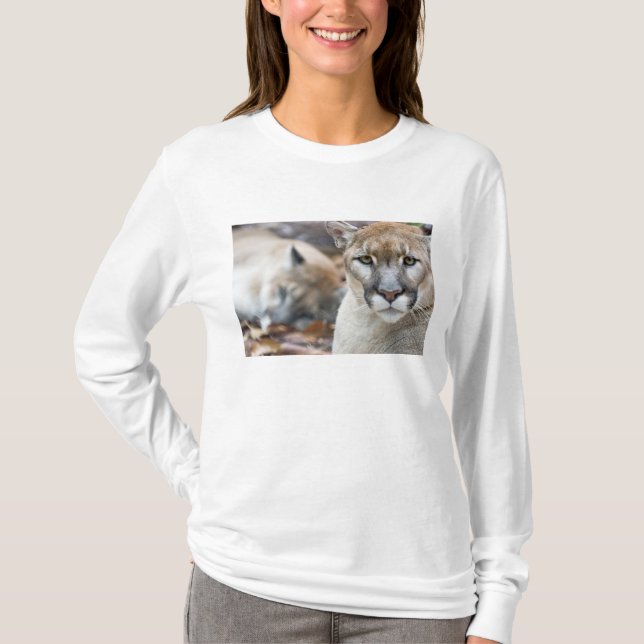 Florida Panther T-Shirt (Front)