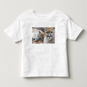Florida Panther Toddler T-Shirt
