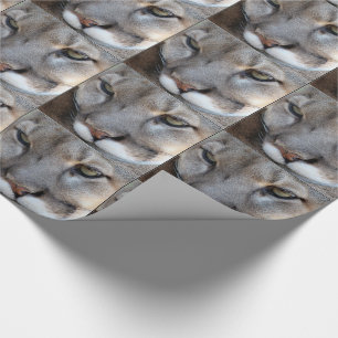 Florida Panther Wrapping Paper (4071) (border)