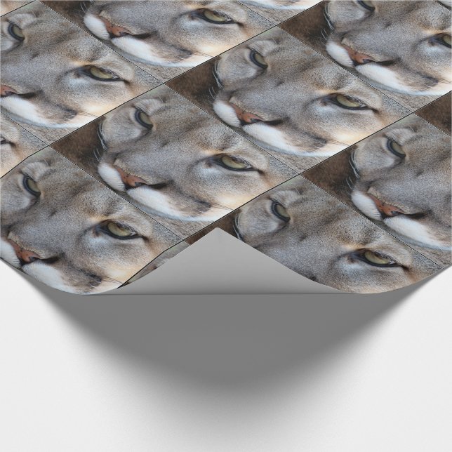 Florida Panther Wrapping Paper (4071) (border) (Corner)