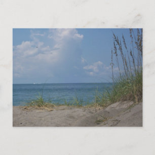 Florida Paradise Postcard