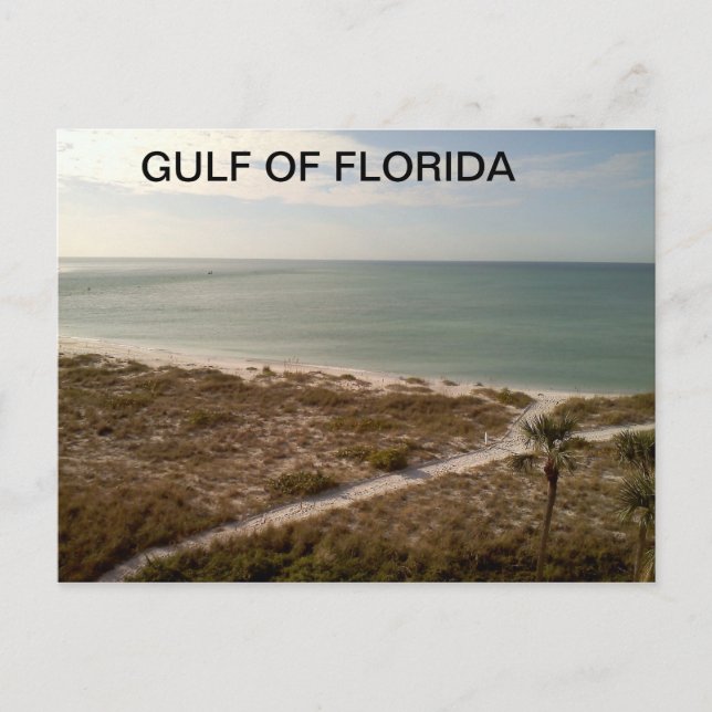 Florida Pathway Leading to the Shore Postcard (Front)