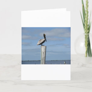 Florida Pelican on a Post at the Dock Card