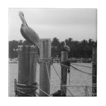 Florida, Pelican on the Boatdock tile