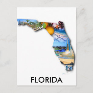 FLORIDA PICTURE DESIGN POSTCARD