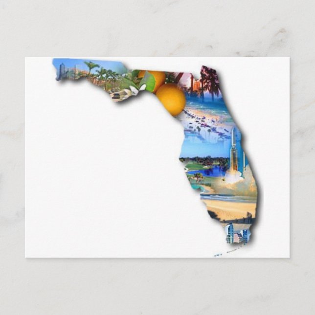 FLORIDA PICTURE DESIGN POSTCARD (Front)