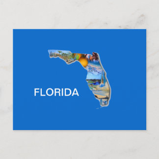 FLORIDA PICTURE DESIGN POSTCARD