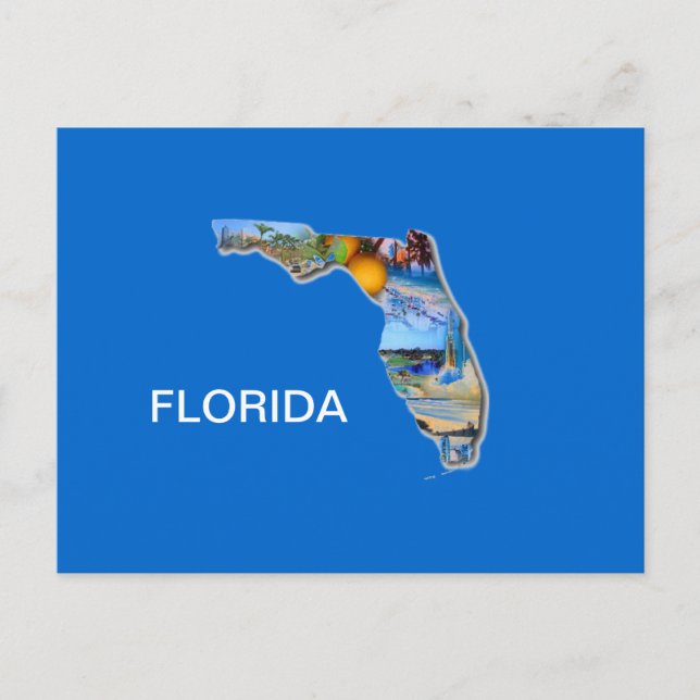 FLORIDA PICTURE DESIGN POSTCARD (Front)