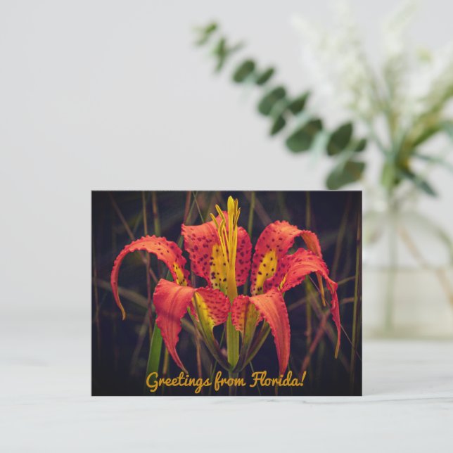 Florida Pine Lily Postcard (Standing Front)