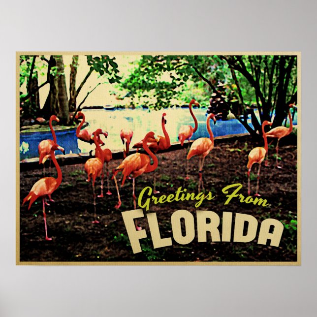 Florida Pink Flamingos Poster (Front)