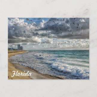 Florida Post Card South Florida Coastline