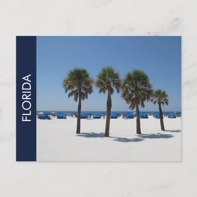 Florida Postcard (Front)