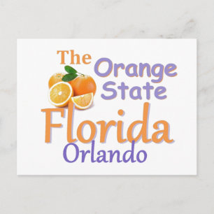 FLORIDA Postcard