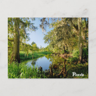 Florida Postcard