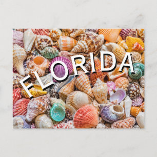 Florida postcard