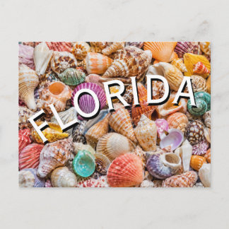 Florida postcard