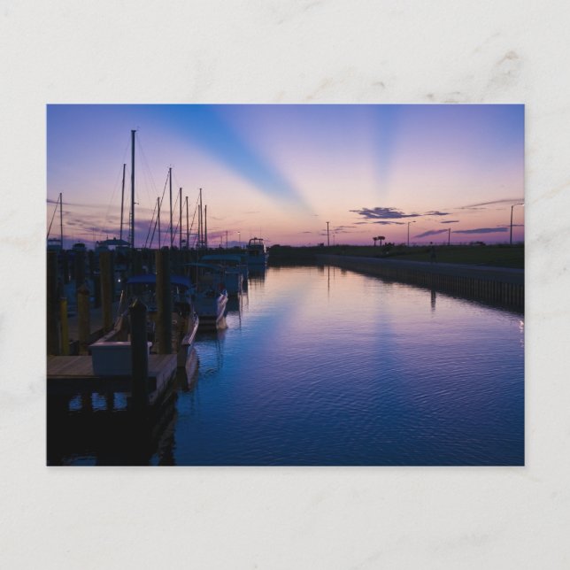 Florida Rays of Sunshine Postcard (Front)