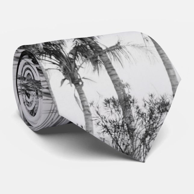Florida Royal Palm Trees Black & White Photograph Tie (Rolled)
