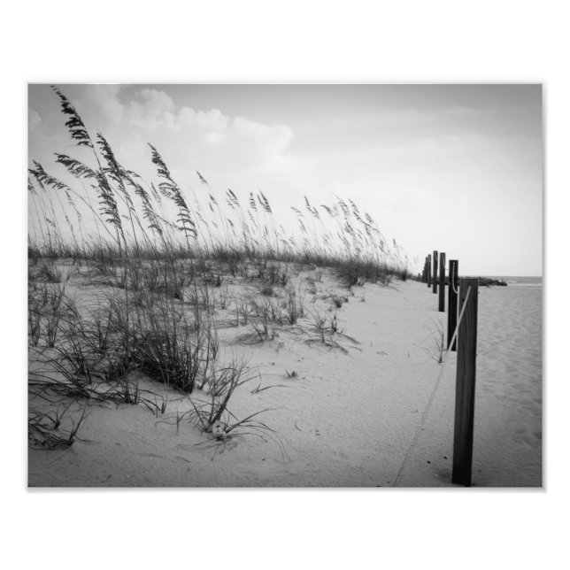 Florida Sand Dunes Photo Print (Front)