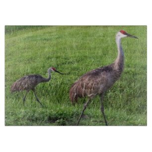 Florida Sand Hill Cranes Cutting Board