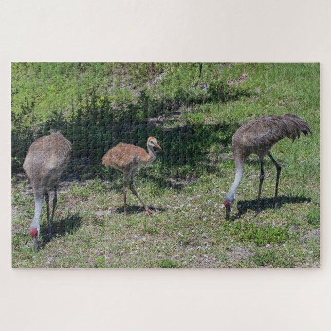 Florida Sandhill Cranes Family Photograph Jigsaw Puzzle (Horizontal)