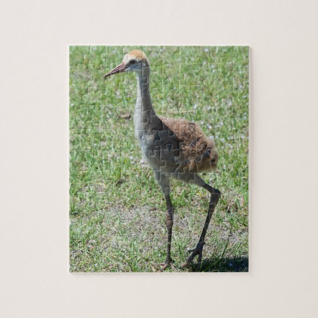 Florida Sandhill Cranes In Green Field Photograph Jigsaw Puzzle (Vertical)