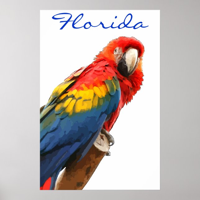 Florida Scarlet Macaw Poster (Front)