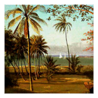 Florida Scene by Albert Bierstadt