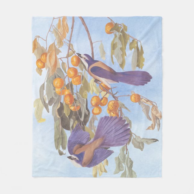 Florida Scrub Jay Audubon Bird Pair on Orange Tree Fleece Blanket (Front)