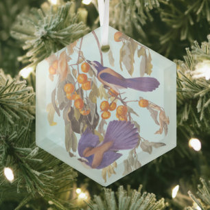 Florida Scrub Jay Audubon Bird Pair on Orange Tree Glass Tree Decoration