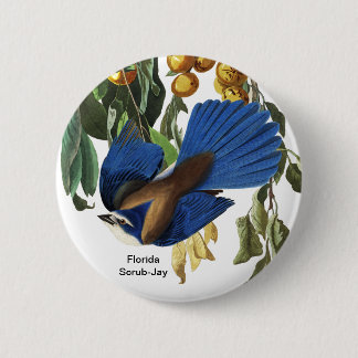 Florida Scrub-Jay, John James Audubon, Rare Bird, 6 Cm Round Badge