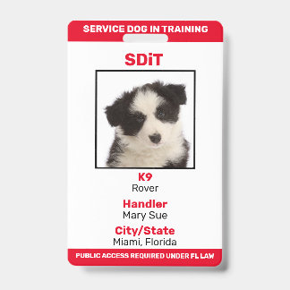 Florida SDiT (Service Dog In Training) info badge ID Badge