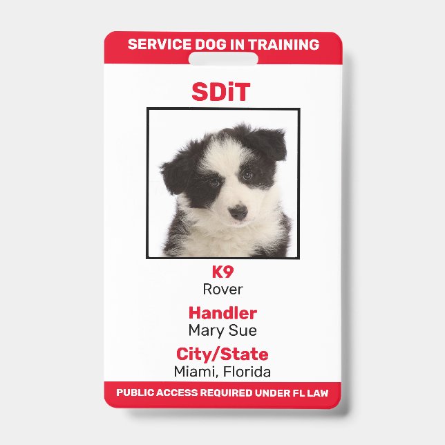 Florida SDiT (Service Dog In Training) info badge ID Badge (Front)