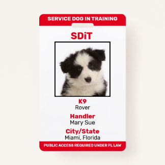 Florida SDiT (Service Dog In Training) info badge ID Badge