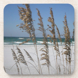 Florida Sea Oats Coasters
