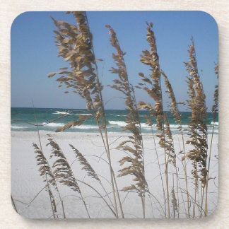Florida Sea Oats Coasters
