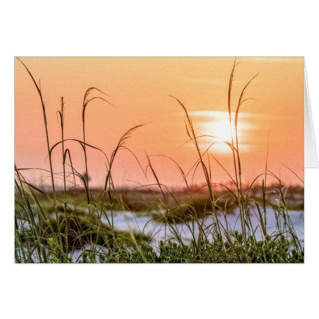 Florida Sea Oats Sunrise Greeting Card (Front Horizontal)