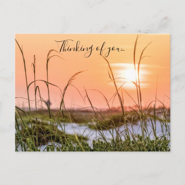 Florida Sea Oats Sunrise Thinking Of You Postcard (Front)