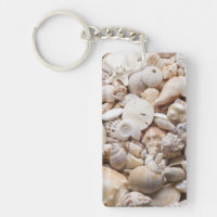 Florida Sea Shell Background - Beach Shells Custom