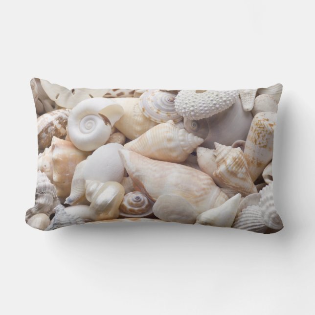 Florida Sea Shell Background - Beach Shells Custom Lumbar Cushion (Front)