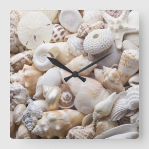 Florida Sea Shell Background - Beach Shells Custom Square Wall Clock