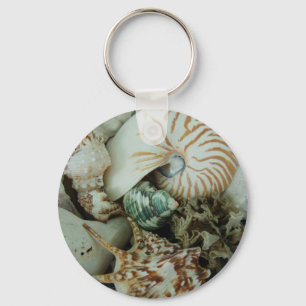 Florida Sea Shells Key Ring