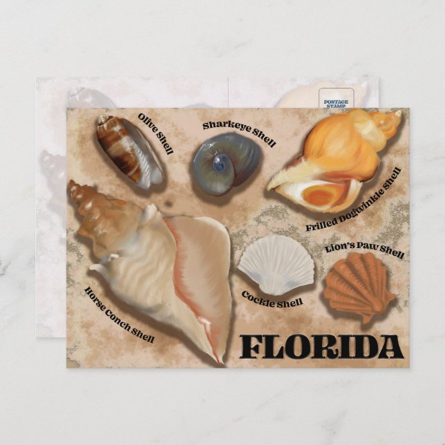 Florida Seashell Postcard (Front/Back)