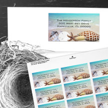 Florida Seashells Coastal Living
