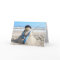 Florida Snow Woman Beach Christmas Card