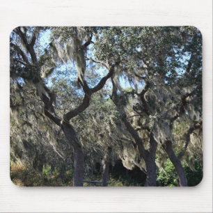 Florida Spanish Moss Mouse Pad
