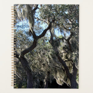 Florida Spanish Moss Planner