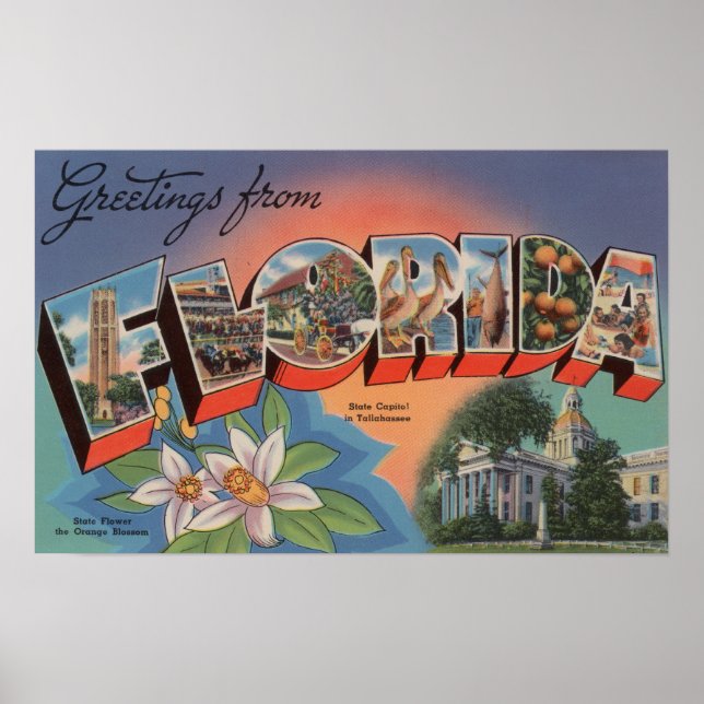 Florida (State Capital Scene) Poster (Front)