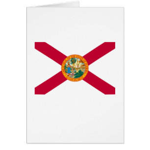 Florida State Flag Design